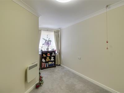 Picture 7